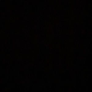 Meet your Posher, Rodolfo